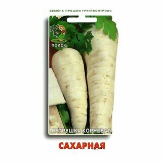 Сахарный корень
