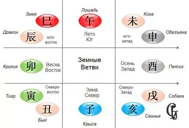 Земные ветви 12 животных в Бацзы. Иероглифы Бацзы земные ветви. Комбинации земных ветвей в карте Бацзы. Бадзы калькулятор с расшифровкой