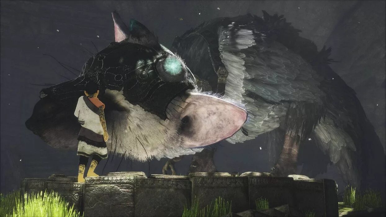 Зе ласт гардиан. Трико ласт Гардиан. Трико the last Guardian. The last Guardian ps4. Игра the last Guardian.