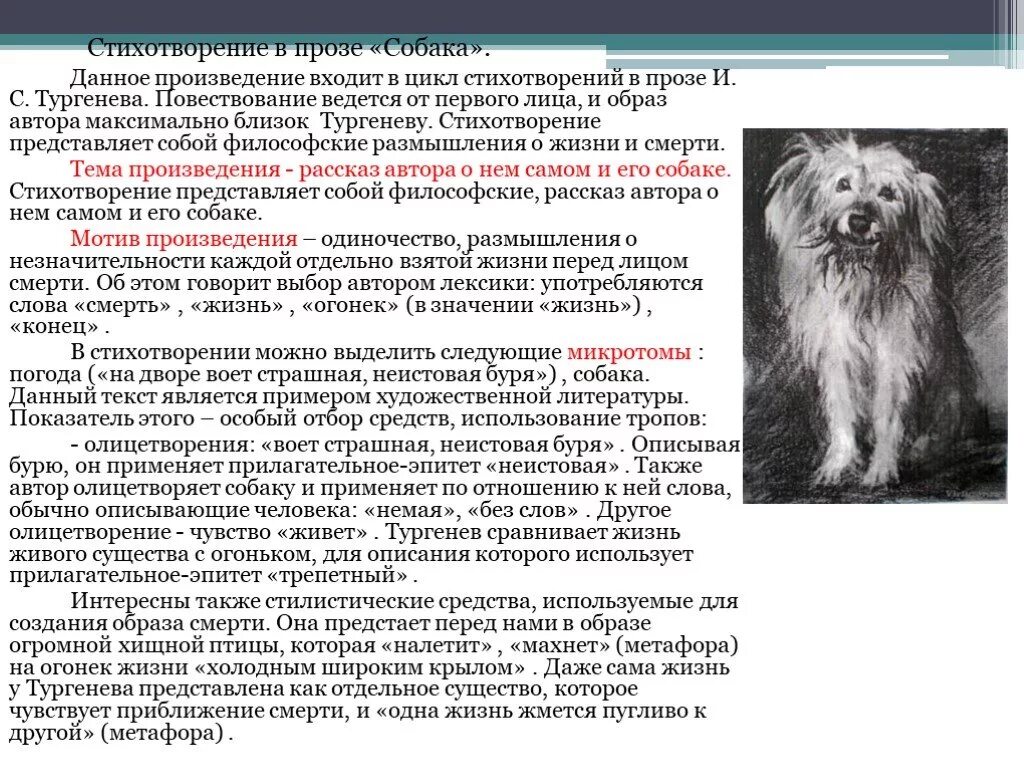 Рассказ тургенева анализ. Стихотворение Тургенева собака. Произведение собака Тургенев. Стихотворение Тургенева собака текст. Стих в прозе Тургенева собака.