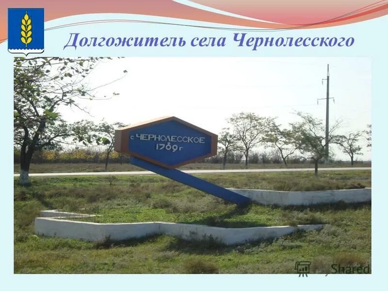 погода в чернолесском. село чернолесское новоселицкого района. село чернолесское. погода в чернолесском. погода в чернолесском.