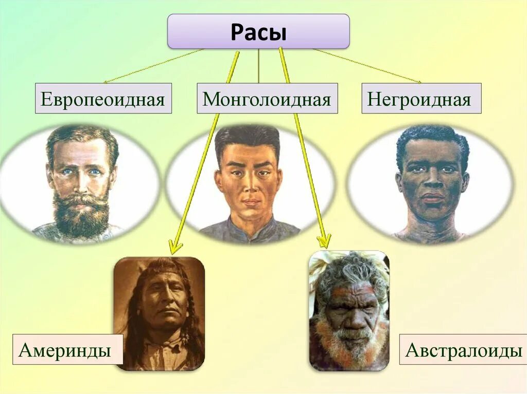 Какие группы людей существовали в прошлом. 4 Расы людей европеоидная монголоидная негроидная и. Человеческие расы. Расы на земле. Основные расы человечества.