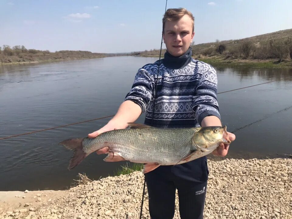 Лова сейчас. Река Дон в Липецкой области рыбалка. Замятино Липецкая область рыбалка. Река Дон в Липецкой области Задонский район. Замятино Задонский район рыбалка.