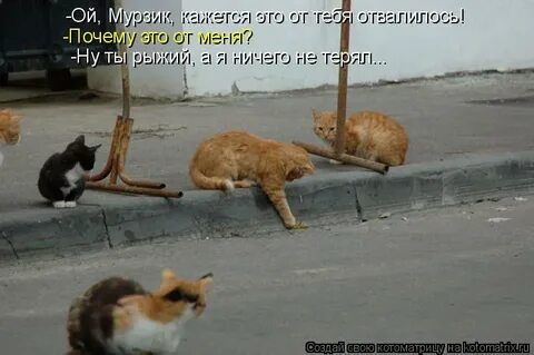 Опа это