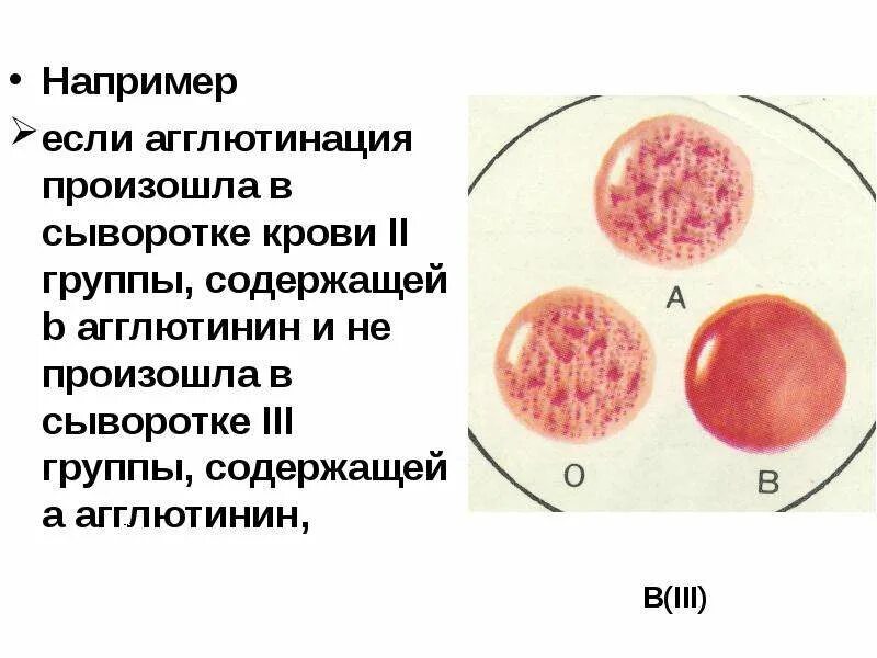 В пробирке произошла агглютинация это означает. Агглютинация. агглютинация эритроцитов.