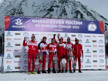 Спортбокс лыжи