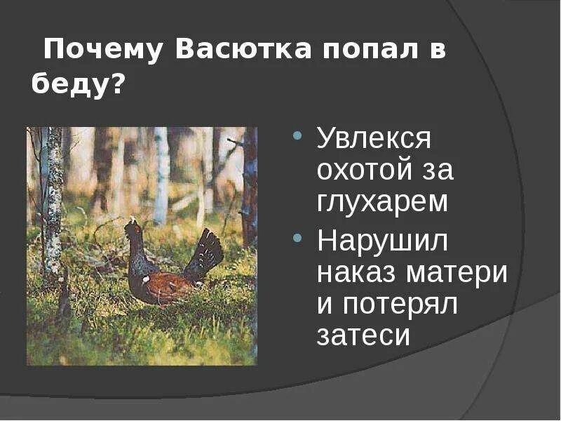 Васютка охотиться на глухаря. Глухарь Васюткино озеро. Васюткино озеро охота на глухаря. Васютка в тайге. Какой зверь приближался к васютке