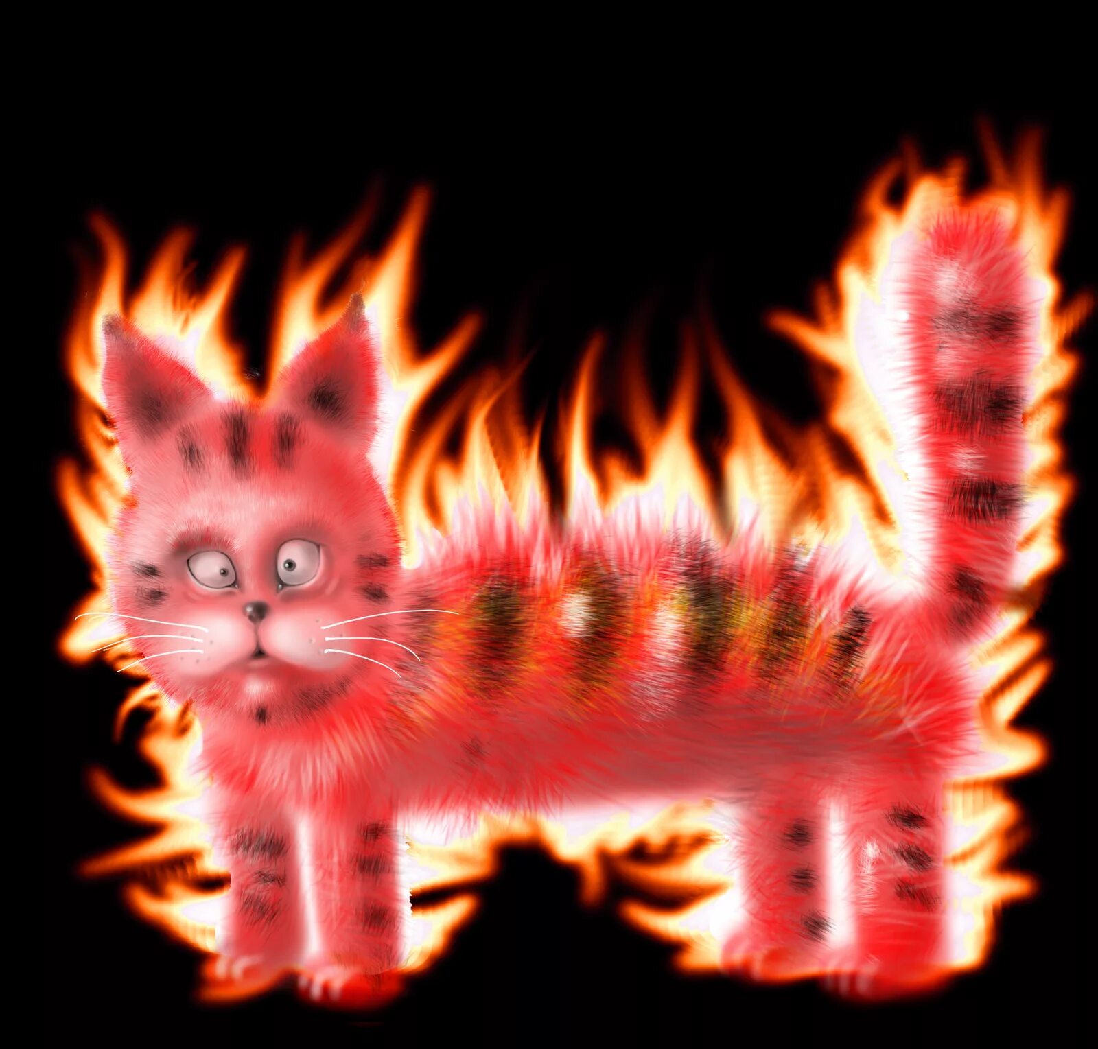 Огненный котенок. Горящие котята. Кот в огне. Кот с огненным хвостом. Кошка сгорела