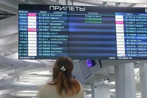 Толмачева прибытие самолетов в толмачево сегодня