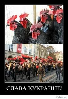 Именуют зеленцом затем хохлушей