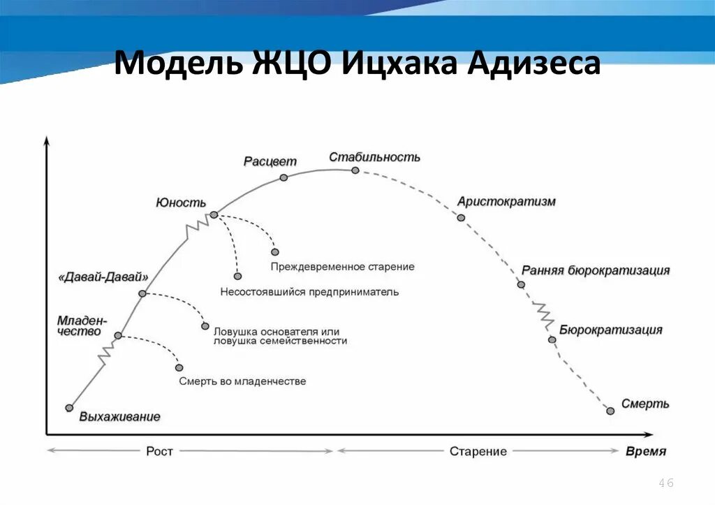 Адизес управление жизненным. Модель жизненного цикла Ицхака Адизеса. Ицхак Адизес жизненный цикл организации. Ицхак Адизес модель жизненного цикла организации. Ицхак Адизес стадии жизненного цикла организации.