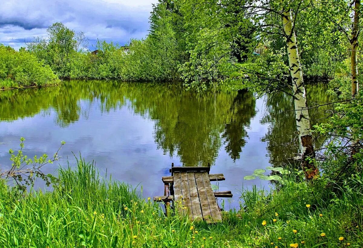 Природа деревня речка Березки. Прудик речка мостик.деревня.