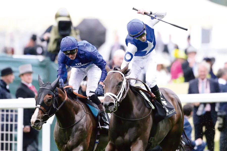 атака рыцарской конницы. и вся королевская конница и вся королевская рать не могут шалтая. королевская конница в гайд парке. плац парад королевской конной гвардии. дрезден фриз королевское шествие.