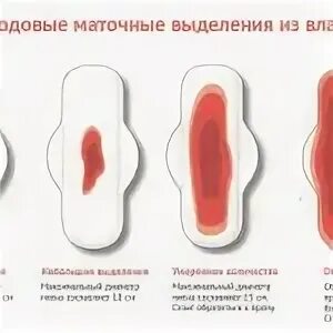 Почему долго идут месячные. Нормальный цвет месячных по дням. Послеродовые выделения по неделям. Через неделю после месячных. Кровь после месячных через неделю.