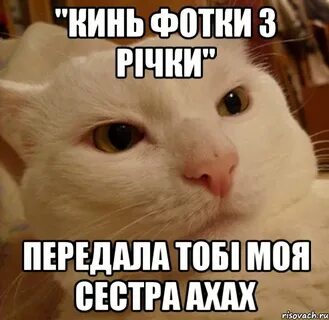 Брат и сестра ах ах