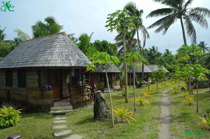 тонга отзыв. королевство тонга. архипелаг тонга. город тонгенг. тонга отзыв.