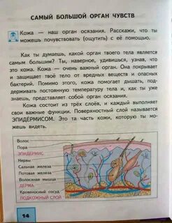 Авито окружающий мир 4 класс