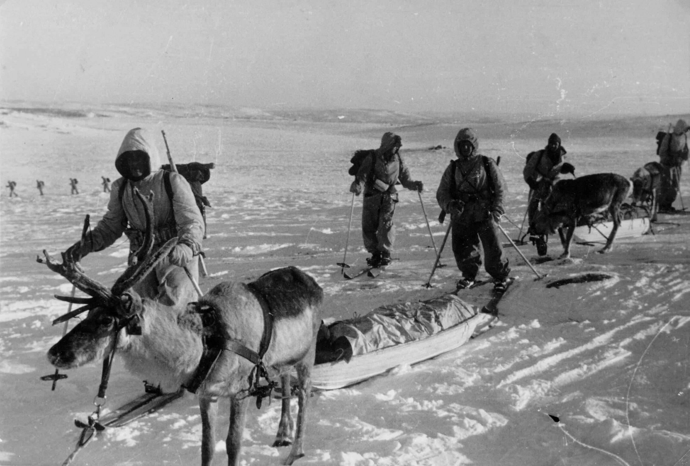 Строители в заполярье иногда впр. Битва за заполярье 1944. битва в заполярье. оборона советского заполярья. битва за заполярье оборона заполярья.