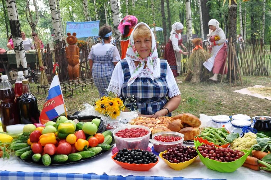 21 ильинская ярмарка никольск. Ярмарка в никольском. Никольск вологодской ярмарка. Ярмарка. Ильинская ярмарка в никольске.