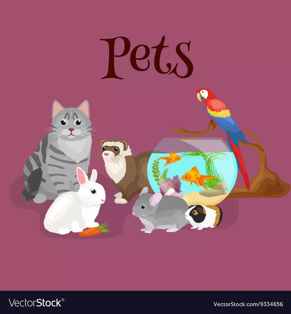 Pet setting. Pets рисунок. Собака кошка попугай хомяк рыбка. Баннер с котиками. Домашние питомцы кошка собака хомяк попугай рыбки черепахи.