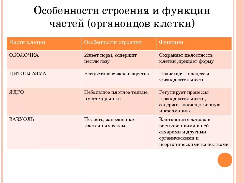 Составная часть клетки функции. Строение клетки структура строение функции таблица. Таблица строение клетки часть клетки строение и функции. Строение клетки функции органоидов клетки таблица. Строение клетки органоиды и их функции.