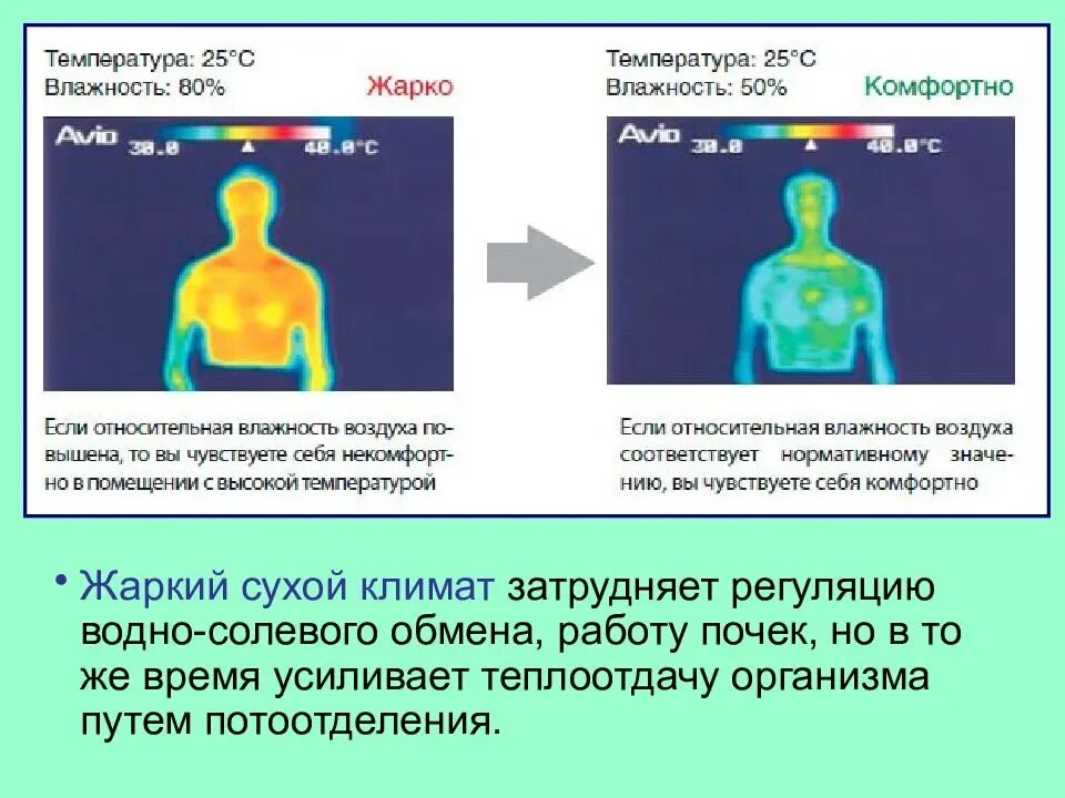 Ощущается какая температура. Комфортная температура и влажность. Температура в помещении. Комфортная температура воздуха в помещении для человека. Комфортная влажность для человека.