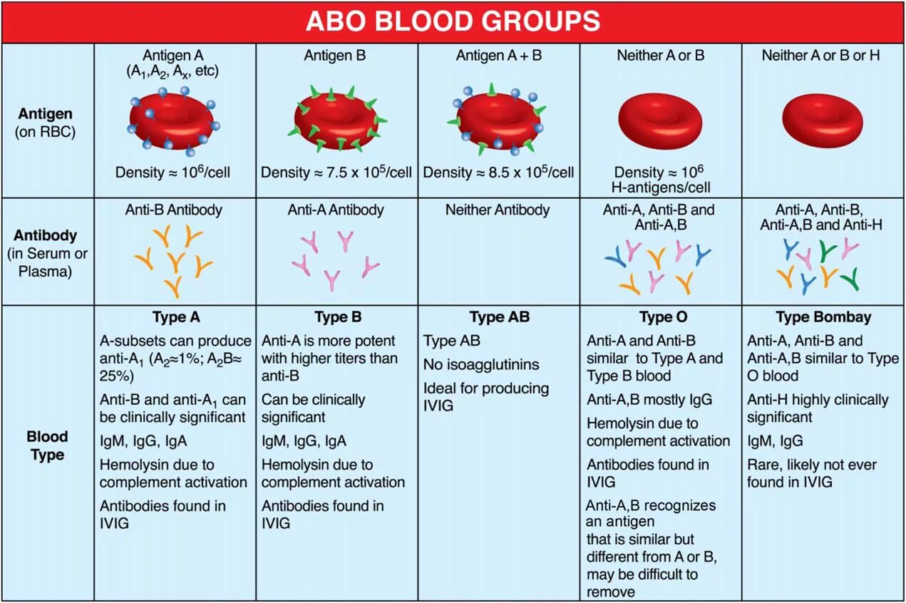 Как по английски кровь. Blood Group Types. Abo Blood Group. Blood Type. Blood Group antigens.