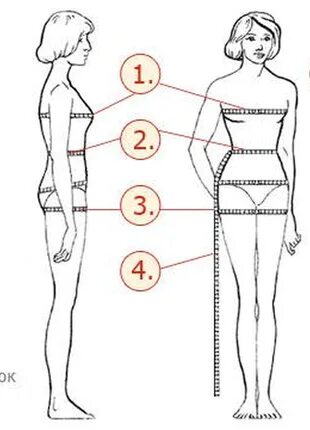 Окружность бедер как измерить. Замер бедер. Обхват груди и талии. Мерка бедер. Бёдра сантиметр.