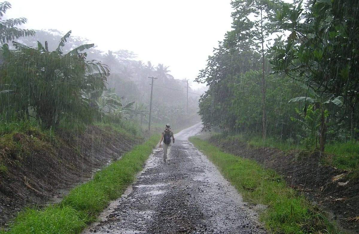 Дожди на дальнем востоке. Муссонные дожди. южная америка дождь. муссон сезон дождей. муссонные дожди на дальнем востоке.