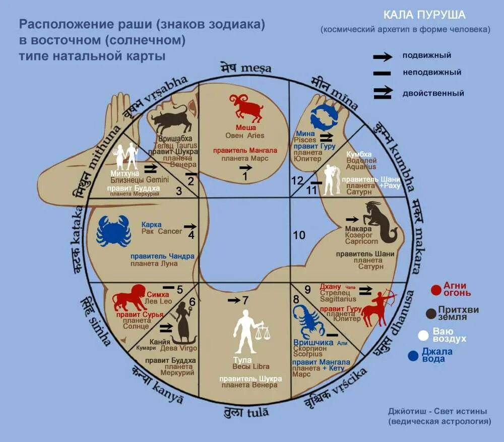 Карта человека планеты