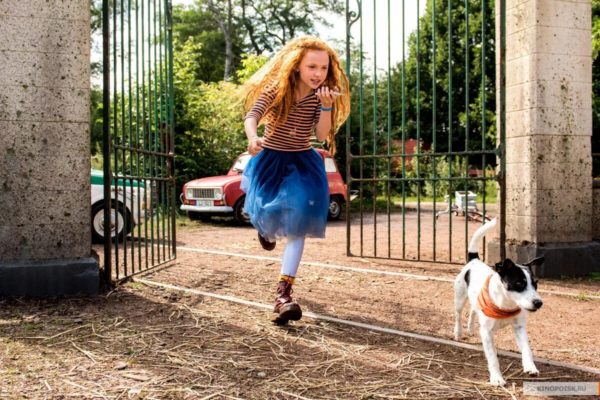 Мисс доктор дулиттл. Девочка с кроликом. Маленькая мисс дулиттл фильм. Маленькая мисс дулиттл. Маленькая мисс дулиттл.