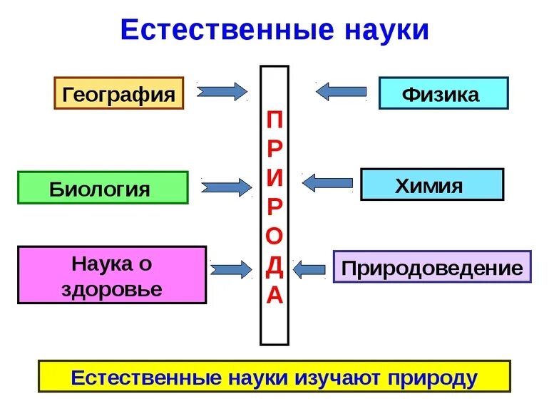 Какой предмет изучает человека