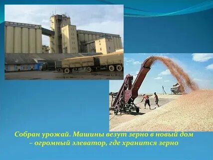 За два дня на элеватор отправили 574