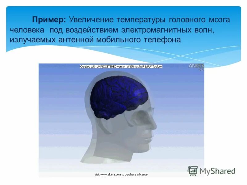 терморегуляционная функция гипоталамуса. какая температура мозга человека. какая температура мозга человека. температура мозга у человека. какая у вас температура тела brain out.