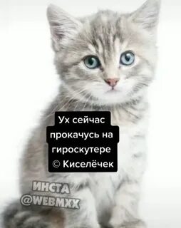Два киселечка катаются не один