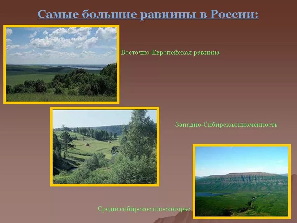 Низменности западно сибирской равнины. Рельеф амазонской низменности. Крупные равнины. Самая обширная равнина на земле. Самая большая равнина называется.