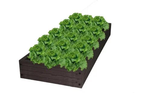 Томска грядка