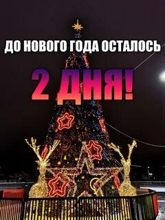 Сколько осталось до 13 августа 2024 года