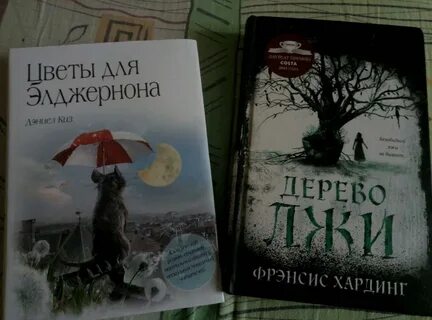 Цветы для элджернона содержание