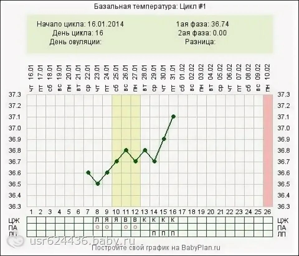 Две овуляции форум