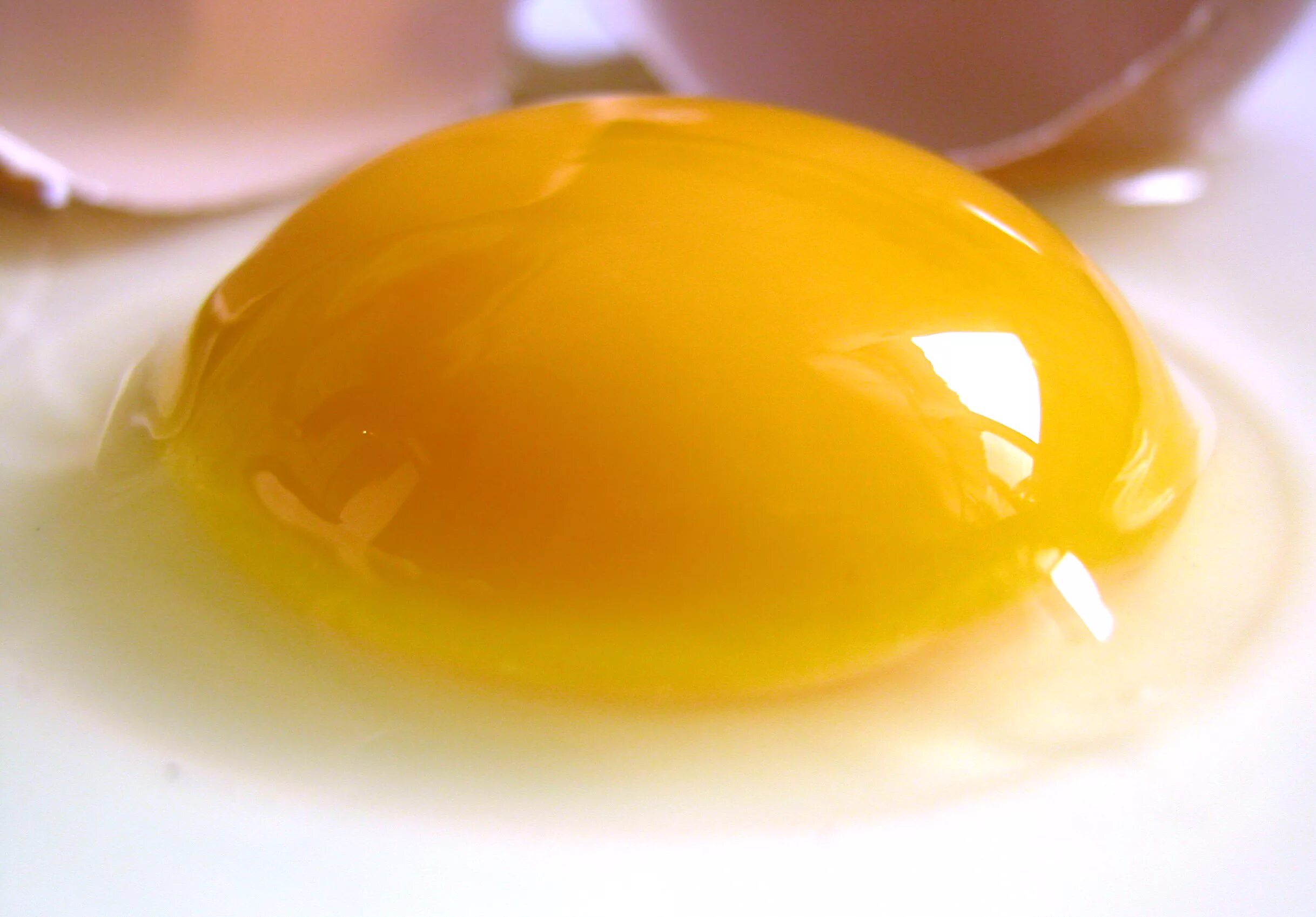 Egg на русском