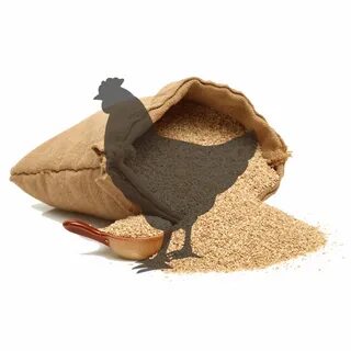 Комбикорм пк1