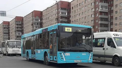 Автобус 53 спб