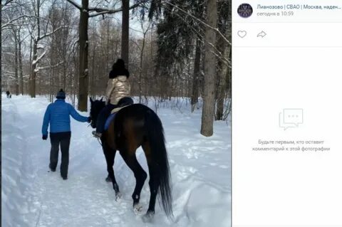 Носи москва