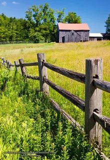 Country фото