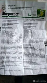Капли иберогаст инструкция