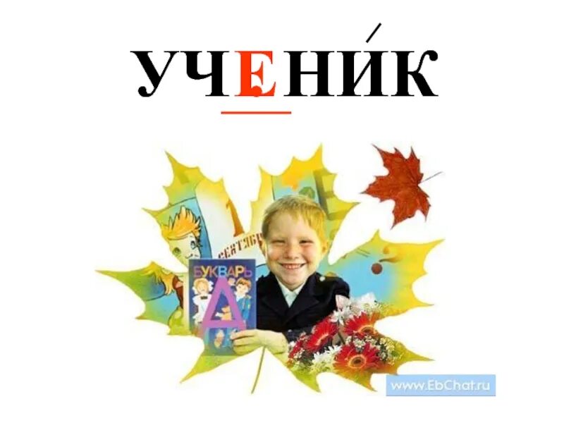 Ученик лексическое слово. Слово ученик. Ученица словарное слово. Словарные слова ученик ученица. Слово ученик словарное слово.