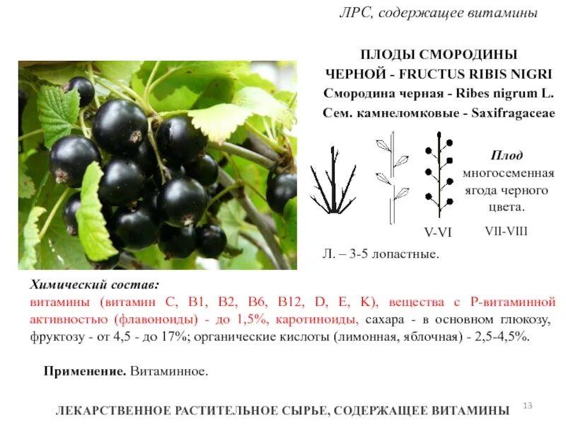 Характерный вид черного