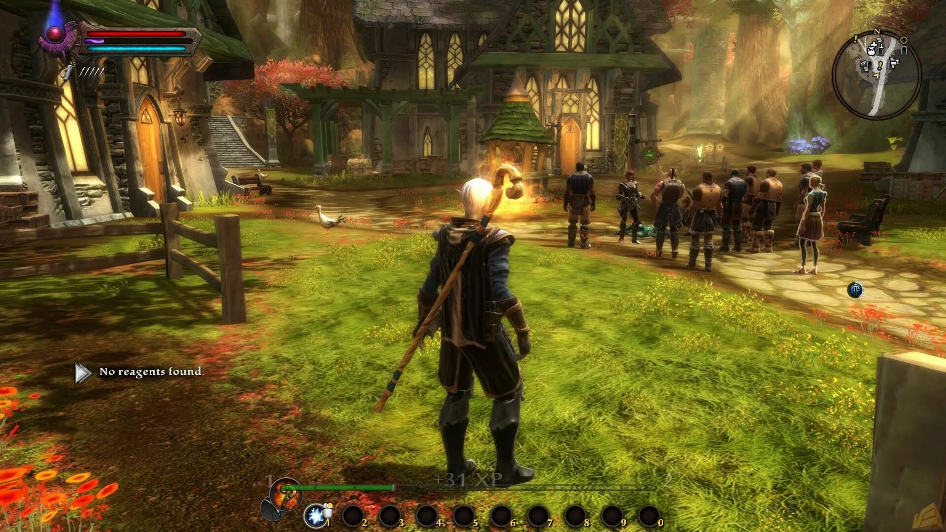 Программы прохождения игр. Kingdoms of amalur: reckoning. игра kingdoms of amalur reckoning. кингдом амалур реконинг 2. кингдом оф амалур реконинг.
