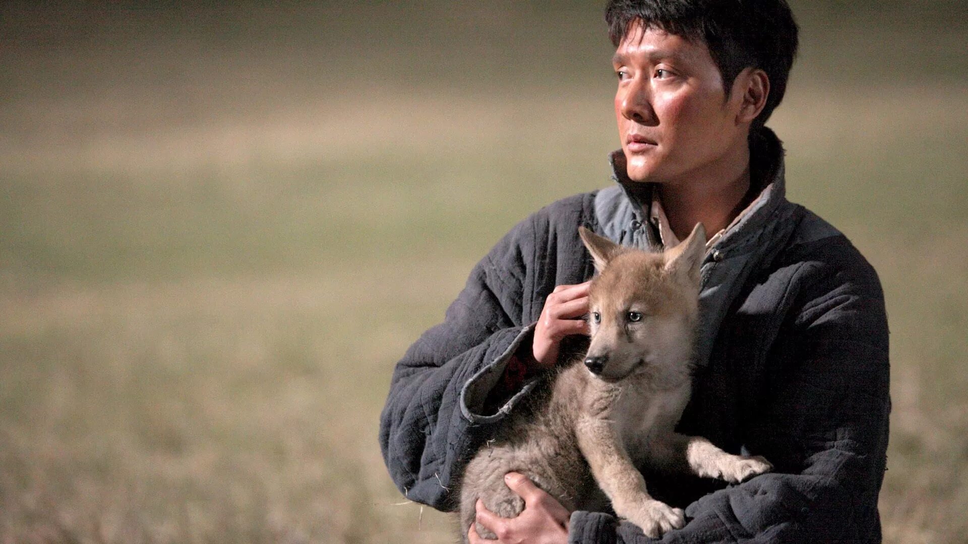 Тотем волка wolf totem 2015. Мой волк 2022. Снежная волчица. Тотем волка (2015). Волк кинофильмы.